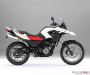 bmw-g-650-gs-2011-5