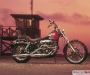harley-davidson-1980_fxwg_wide_glide_beauty-2