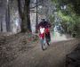 honda-honda-crf250l-2012-40