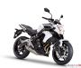 kawasaki-er-6n-2012-20