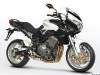 big_benelli_trek_899_1.jpg