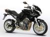 big_benelli_trek_899_2.jpg