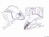 BMW S 1000 RR, DesignskizzeBMW S 1000 RR, design sketches