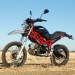 big_ducati_terra_mostro_1.jpg
