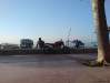 jvb-playa1750web.jpg