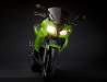 kawasaki-er6f-2009-5.jpg