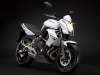 kawasaki_er6n_2009_3.jpg