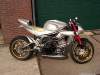 mathijn-nelis-nelis1000r-custom-tl1000r-21_0