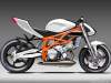 mathijn-nelis-nelis1000r-custom-tl1000r-2_0