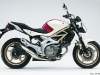 suzuki-sfv-650-4.jpg