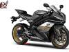 R1_2009_black.jpg