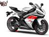 R1_2009_white.jpg