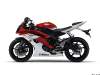 big_yamaha_yzfr6_2009_11.jpg