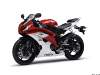 big_yamaha_yzfr6_2009_12.jpg