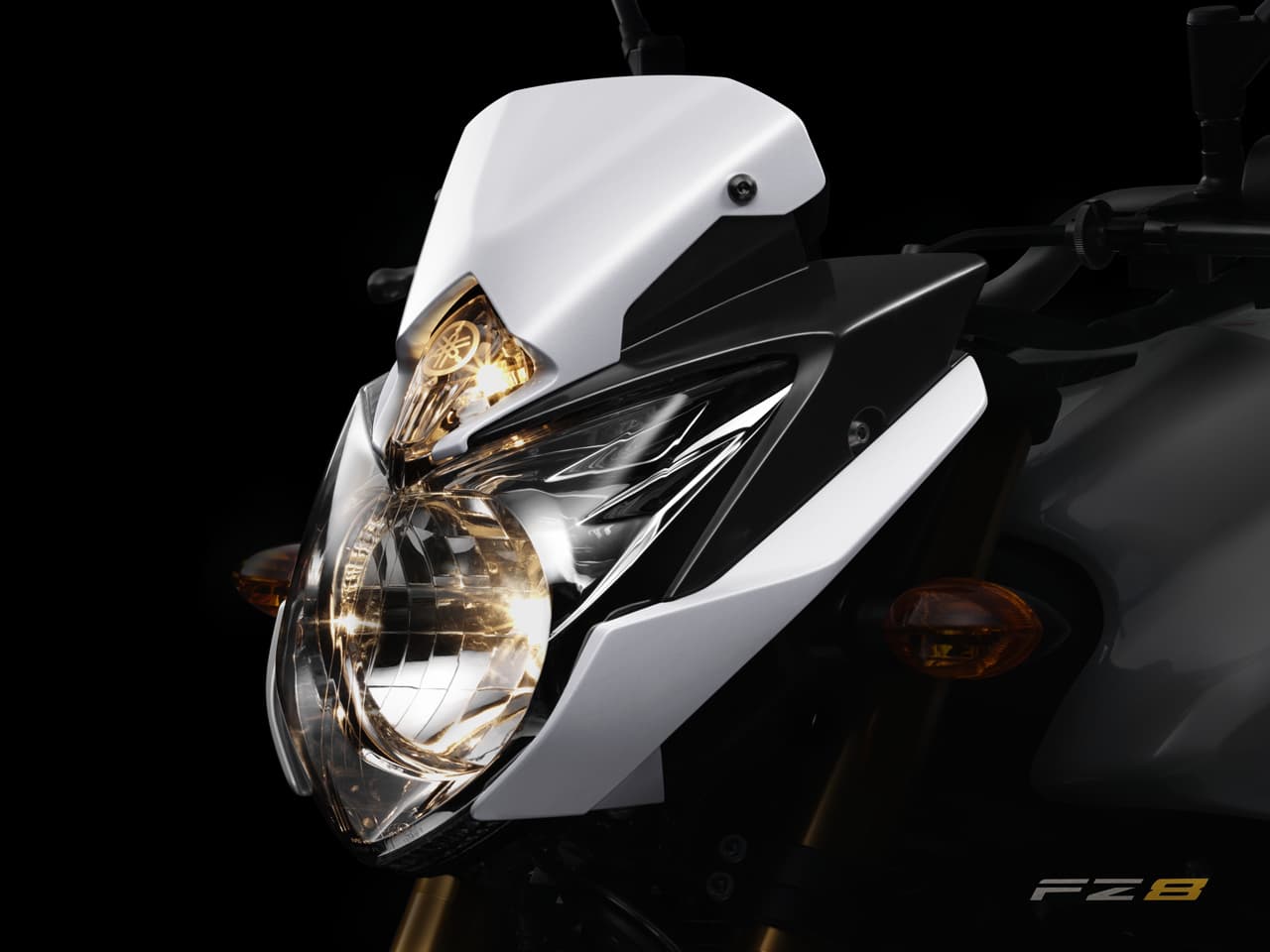 Yamaha FZ8 2010