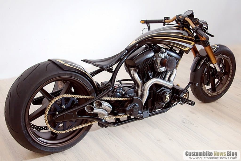 Custom-Wolf 5 years bike (4)