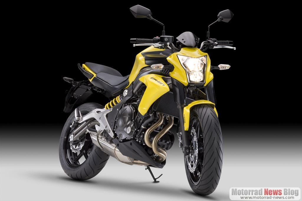Kawasaki ER-6n 2012 (6)
