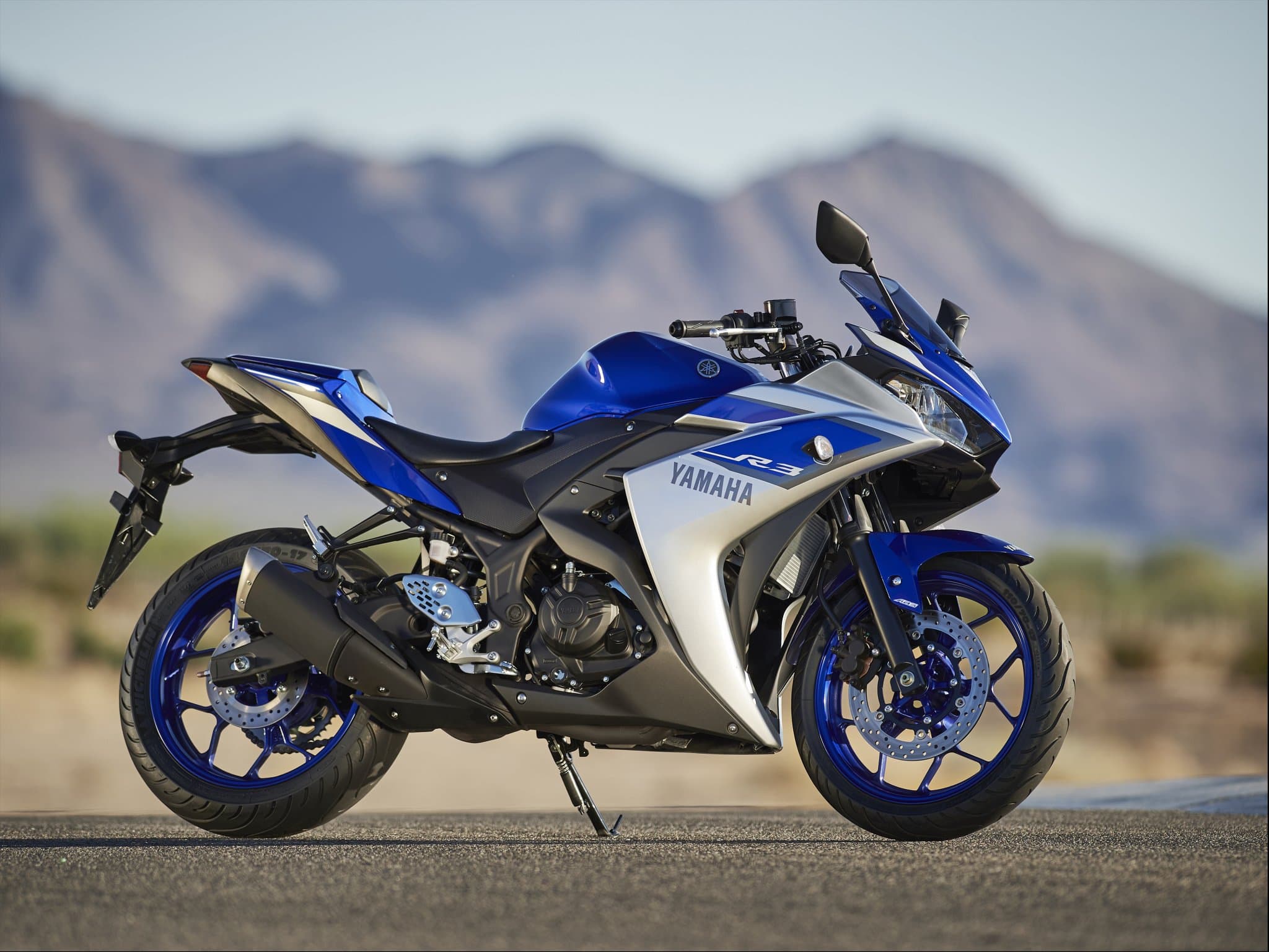Yamaha YZF-R3 2015 (22)
