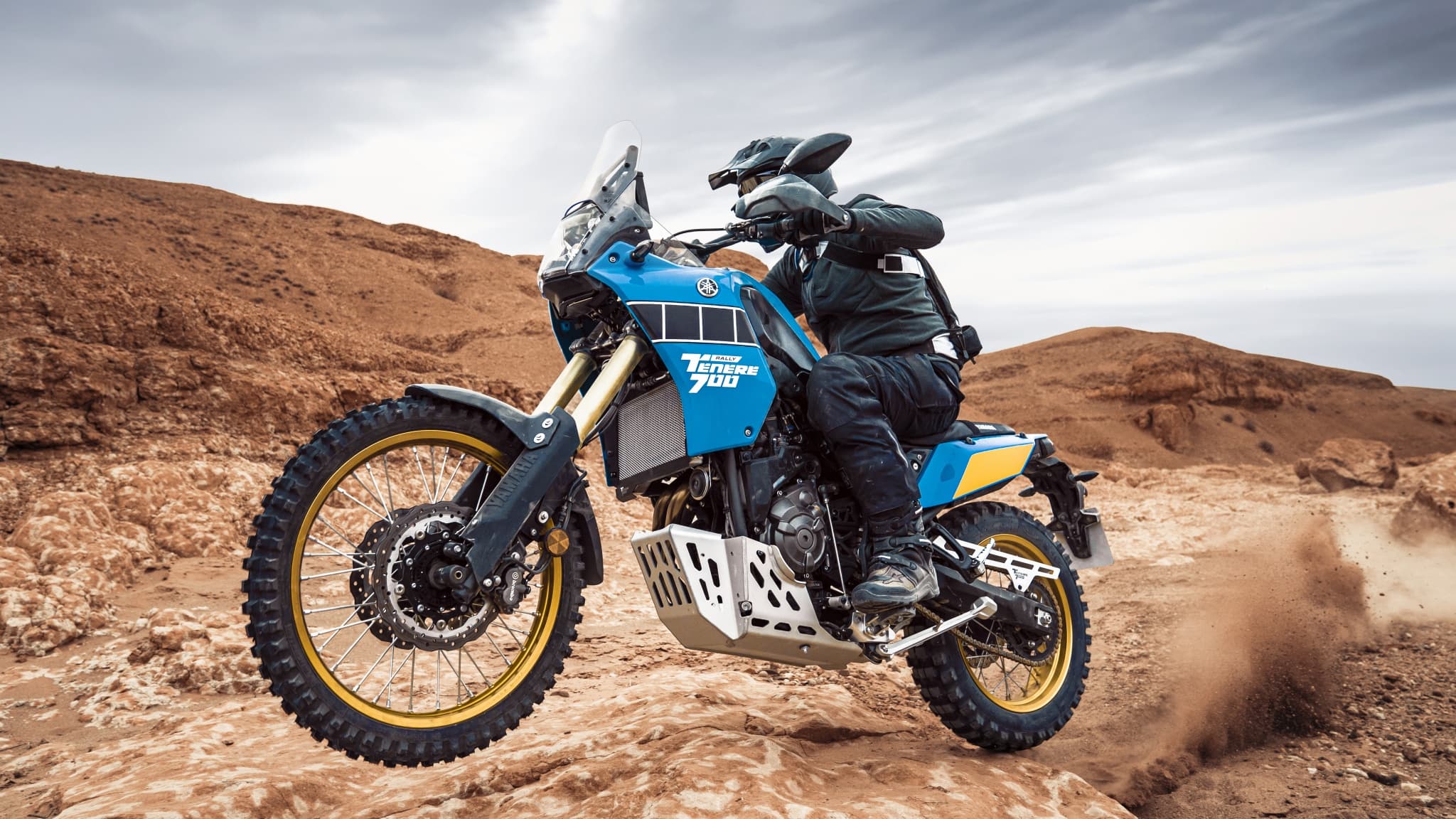 Yamaha Tenere 700 Rally Edition 2020 (2)