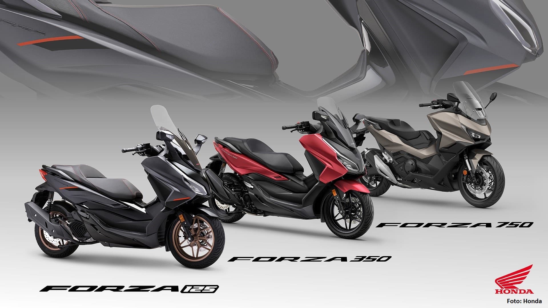 25YM Honda Forza family