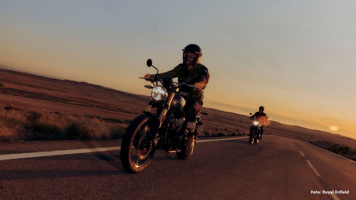 Royal Enfield Bear 650 3