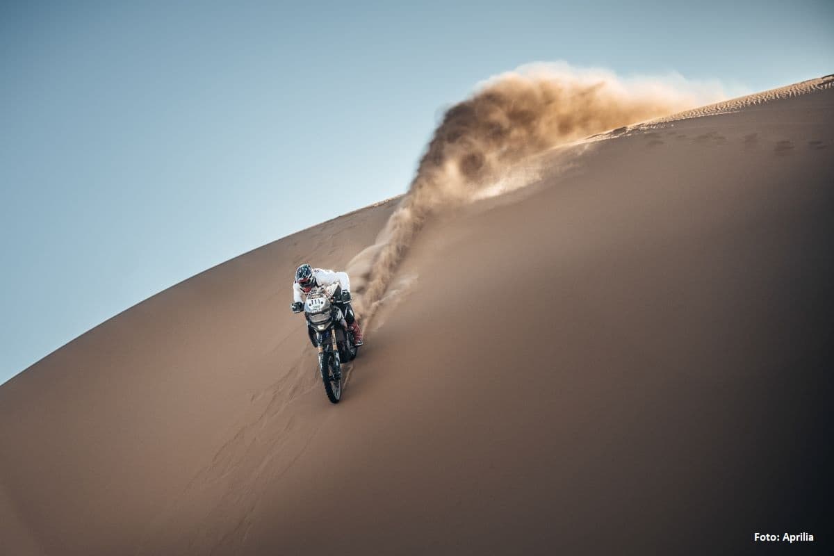 ar-africaecorace-3