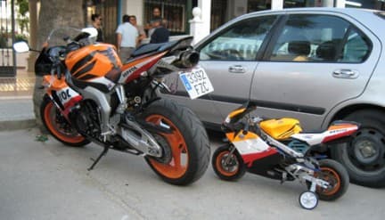 Honda CBR Senior & Junior