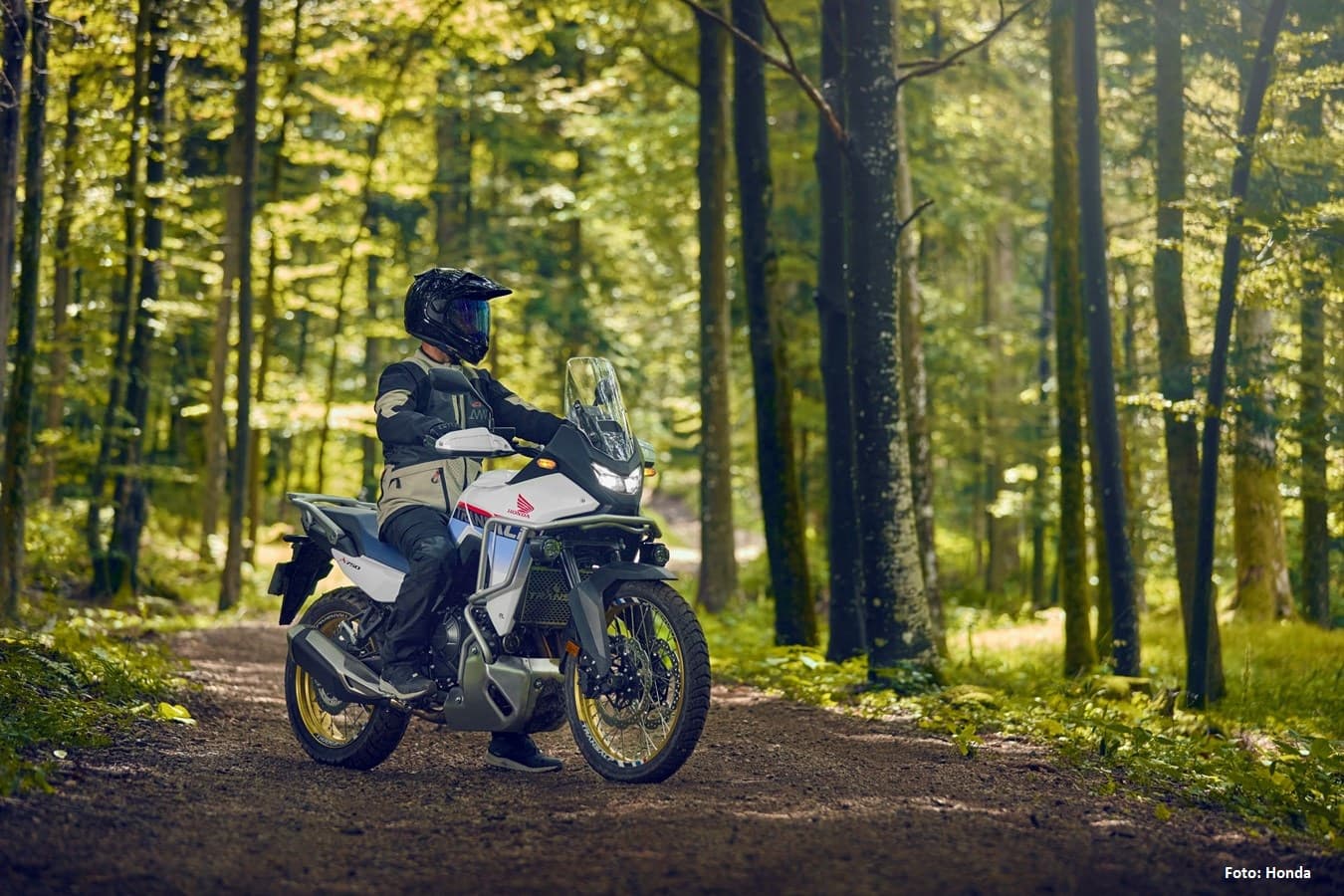 25YM Honda XL750 Transalp