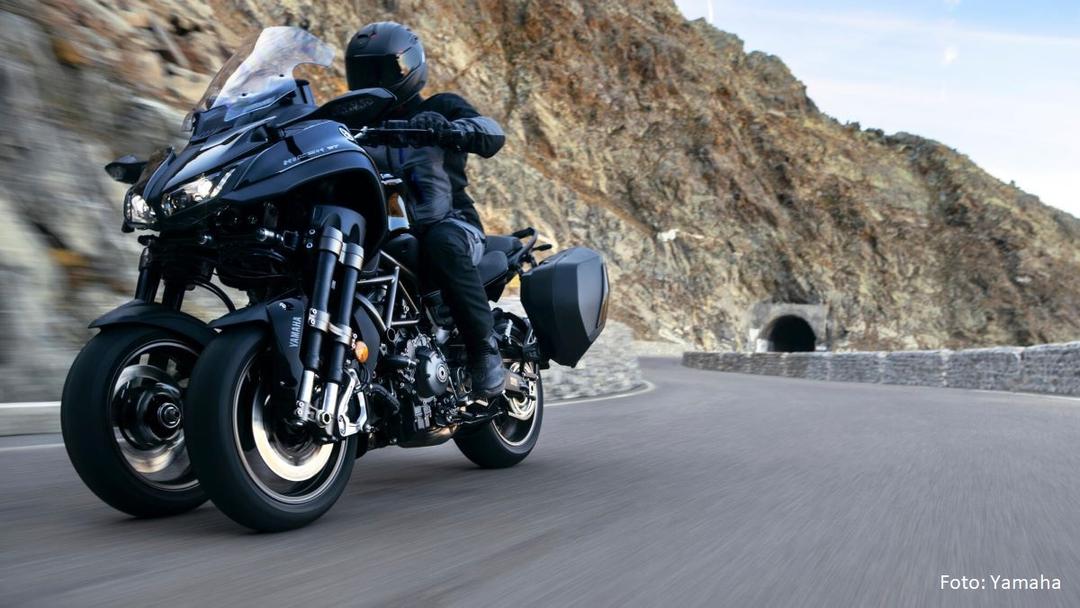 Picture of the author