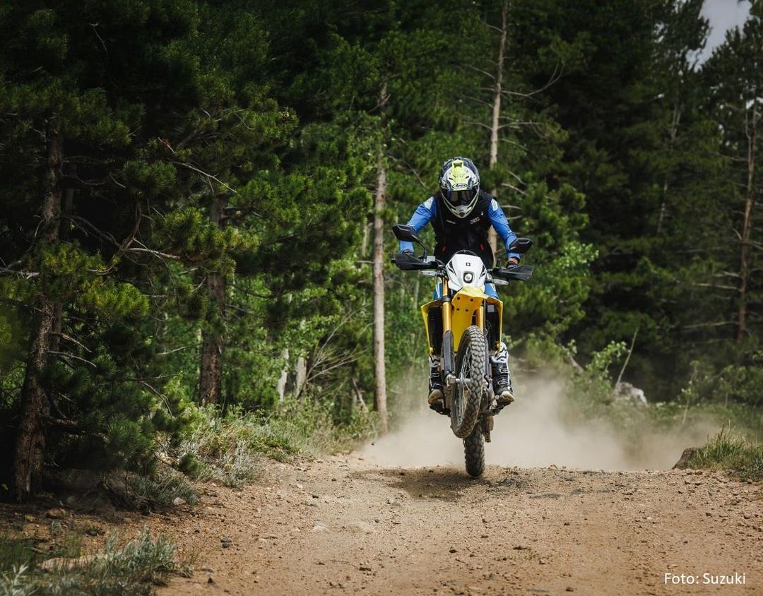 Picture of the author