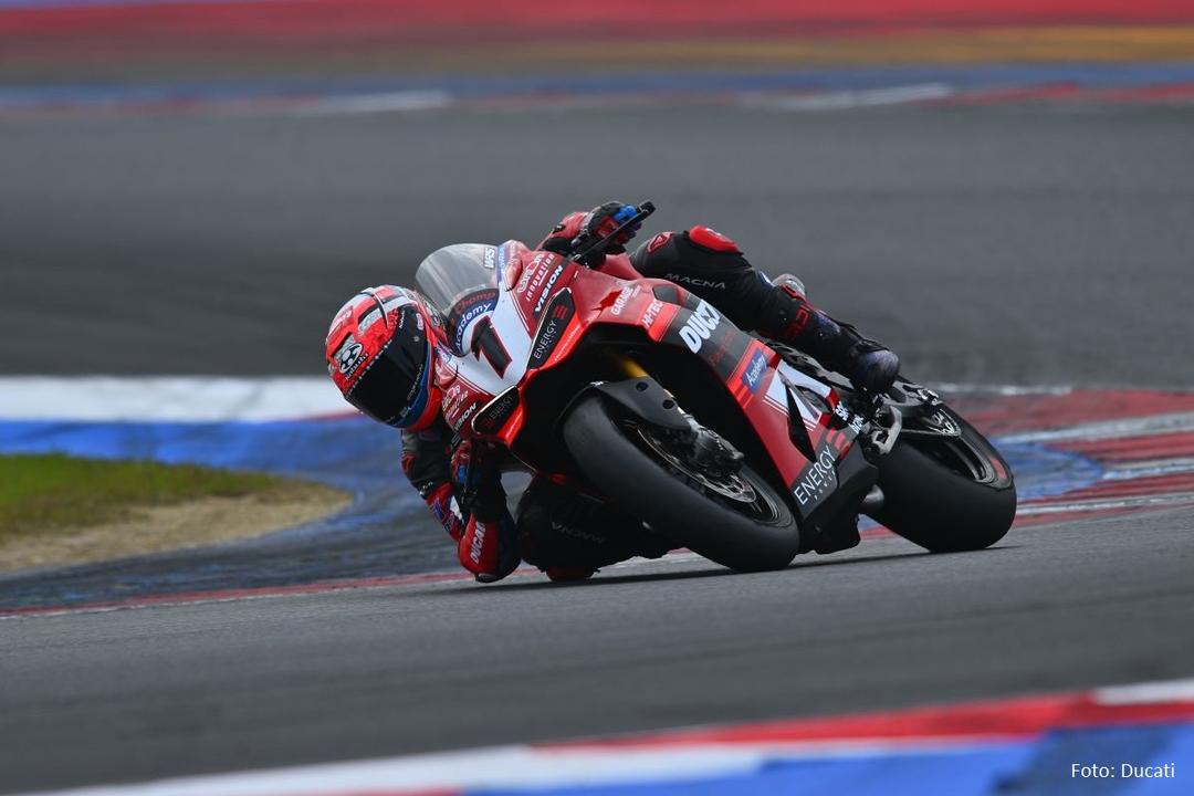 Picture of the author