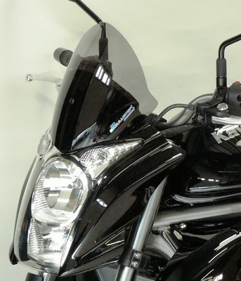 Kawasaki ER-6n neues Windschild 1 kawasaki-er6n-2009-bullsterscheibe