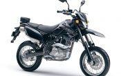 Kawasaki D-Tracker 125 2010 (10)