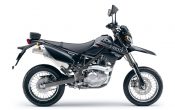 Kawasaki D-Tracker 125 2010 (11)