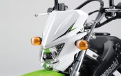 Kawasaki KLX125 2010 (5)