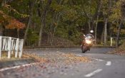 honda_vfr1200f_tokyo_13