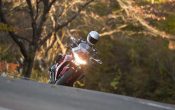 honda_vfr1200f_tokyo_15