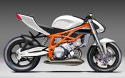 mathijn-nelis-nelis1000r-custom-tl1000r-2_0