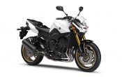 Yamaha-FZ8-2010-004