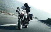 triumph-tiger_2010