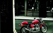 triumph-thruxton-900-arrow