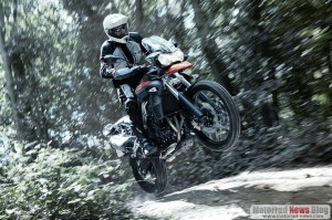 triumph-tiger-800-adventure-2011 (6)