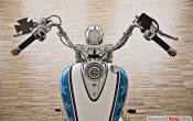 Triumph Thunderbird Hopper-5