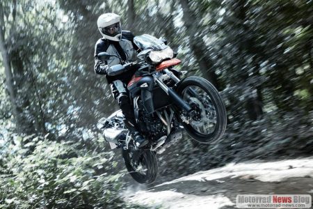 triumph-tiger-800-adventure-2011-6