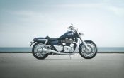 Triumph Thunderbird