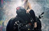 Vilner Custombike Predator 2012 (20)