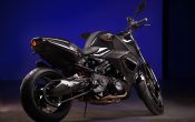 Vilner Custombike Predator 2012 (4)