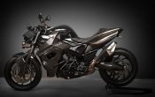 Vilner Custombike Predator 2012 (5)
