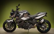 Vilner Custombike Predator 2012 (6)