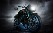 Vilner Custom Bike Bulldog (6)